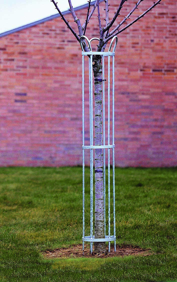 gallery product photo