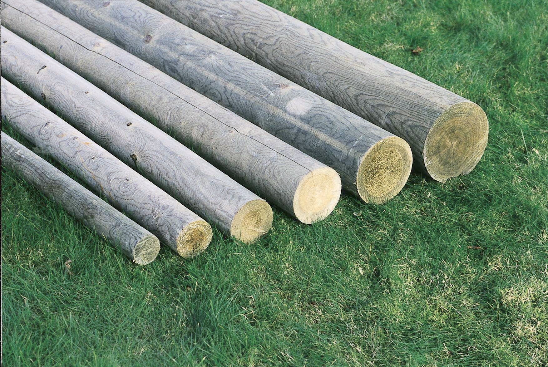 gallery product photo