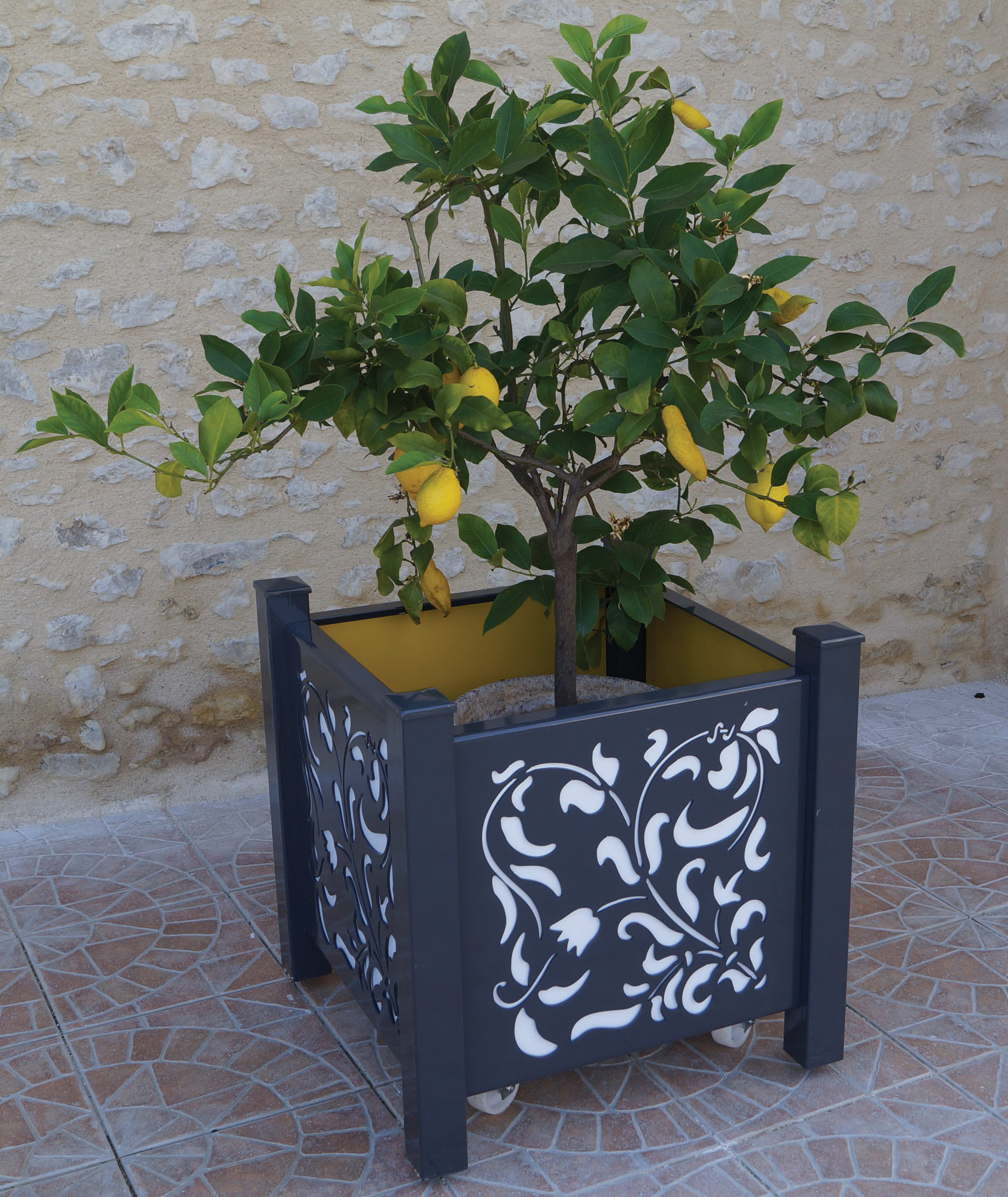 gallery product photo