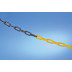 gallery product photo