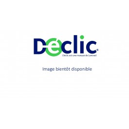 Portique balancoire mixte