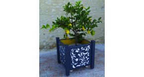 Jardiniere Acore