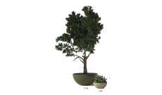 JARDINIERE BOUGAINVILLIER CINTREE FINITION VELOURS