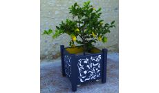 Jardiniere Acore